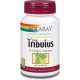 Solaray Tribulus 450 Mg, 60 kapsúl