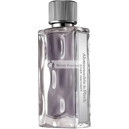 Abercrombie & Fitch First Instinct pre mužov Eau de Toilette, 100ml