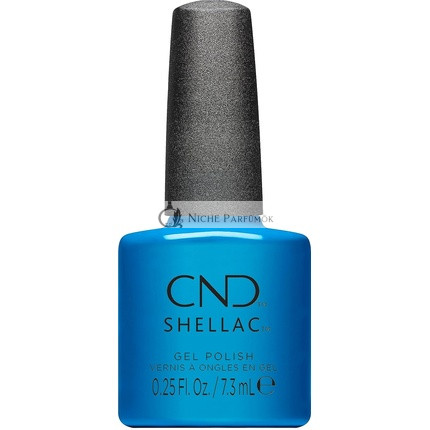 Shellac Čo bolo staré, je opäť modré