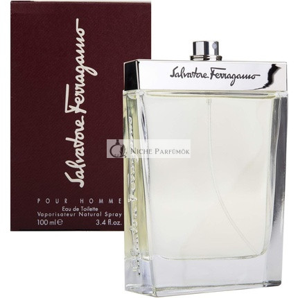 Salvatore Ferragamo Pánska Eau De Toilette, 100ml