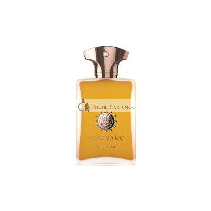 AMOUAGE Overture Man Eau de Parfum Pánsky Parfum, 100ml