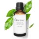 Esenciálny olej z čajovníka, 50ml, Čistý BIO 100% Prírodný Aromaterapia