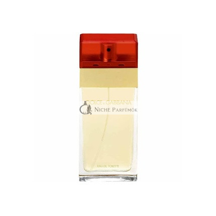 Dolce & Gabbana By Dolce & Gabbana Eau De Toilette Spray 100 ml