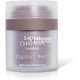 Sarah Chapman Digitálny Nočný Krém s Vitamínom C, 30ml