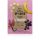 Oriflame Love Nature Up- Loved Upcycled Banana Flower Organické Acai - 10 Ml