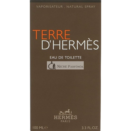 Hermès Terre D'Hermes toaletná voda pre mužov 100 ml