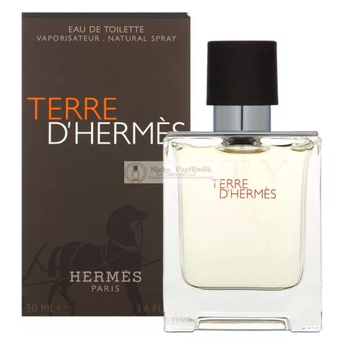 Hermès Terre D'Hermes toaletná voda pre mužov 50 ml
