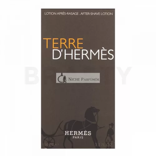 Hermès Terre D'Hermes voda po holení pre mužov 100 ml
