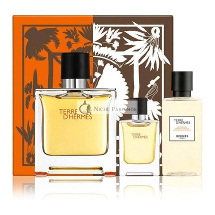 Hermès Terre D'Hermès Eau Intense Vetiver darčeková sada pre mužov, 120ml