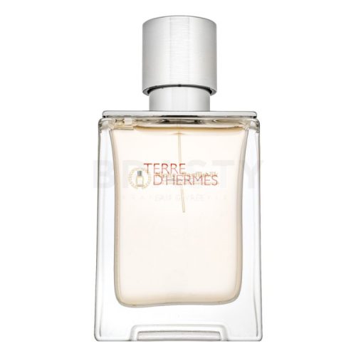 Hermès Terre d’Hermès Eau Givrée - Refillable parfémovaná voda pre mužov 50 ml