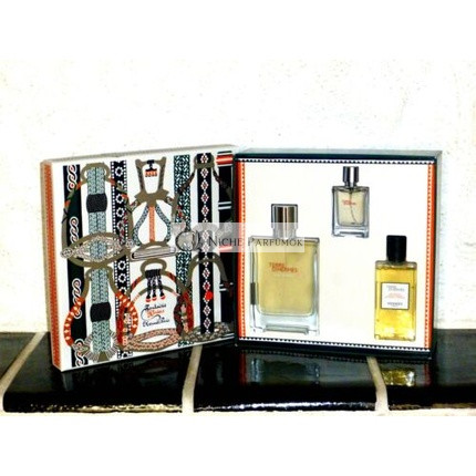 Hermès Terre D'Hermes Givree Sada EDP 100ml + 12.5ml EDP + 80ml DG