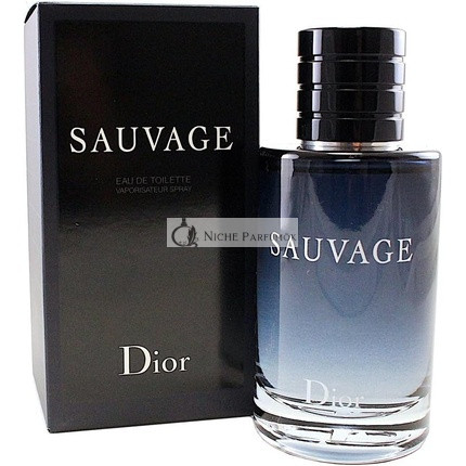Christian Dior Sauvage eau de toilette sprej pre mužov 100ml