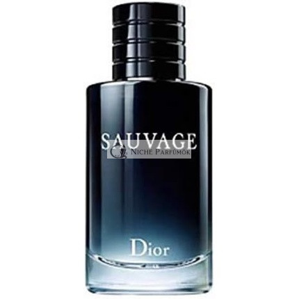 Dior (Christian Dior) Sauvage toaletná voda pre mužov 60 ml