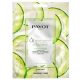 Payot Ranné masky: Winter Is Coming pleťová maska, 19ml