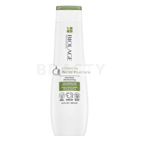 Matrix Biolage Strength Recovery Shampoo posilujúci šampón pre oslabané vlasy 250 ml