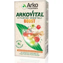Arkofarm Arkovital Boost 24 Tabliet