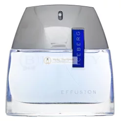   Iceberg Effusion Man toaletná voda pre mužov 75 ml