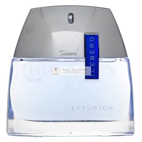 Iceberg Effusion Man toaletná voda pre mužov 75 ml