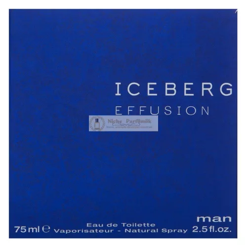 Iceberg Effusion Man toaletná voda pre mužov 75 ml