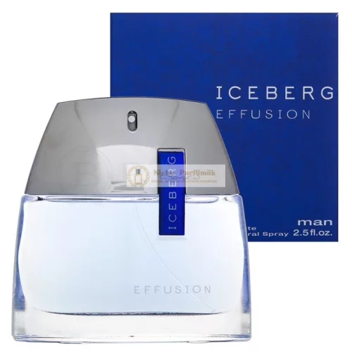 Iceberg Effusion Man toaletná voda pre mužov 75 ml