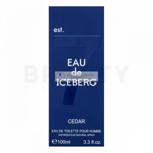 Iceberg Eau de Iceberg Cedar toaletná voda pre mužov 100 ml
