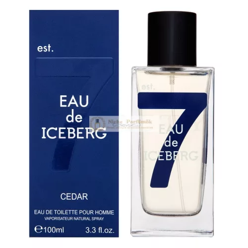 Iceberg Eau de Iceberg Cedar toaletná voda pre mužov 100 ml