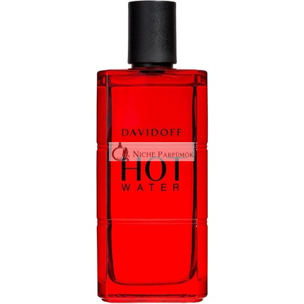 Davidoff Hot Water toaletná voda pre mužov 110 ml