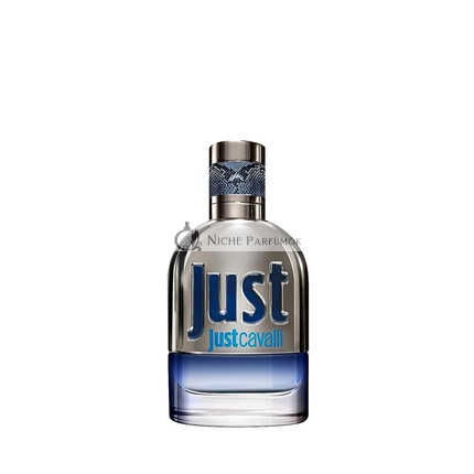 Roberto Cavalli Just Man Nové Eau de Toilette, 30 ml