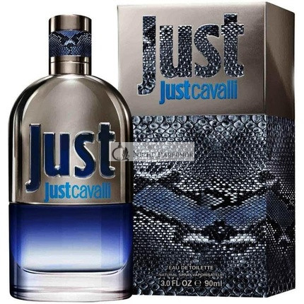 Roberto Cavalli Just Cavalli Him 2013 toaletná voda pre mužov 90 ml