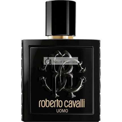 Roberto Cavalli Uomo toaletná voda pre mužov 100 ml