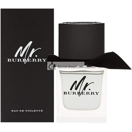 Burberry Mr. Burberry toaletná voda pre mužov 100 ml