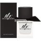 Burberry Mr. Burberry toaletná voda pre mužov 100 ml