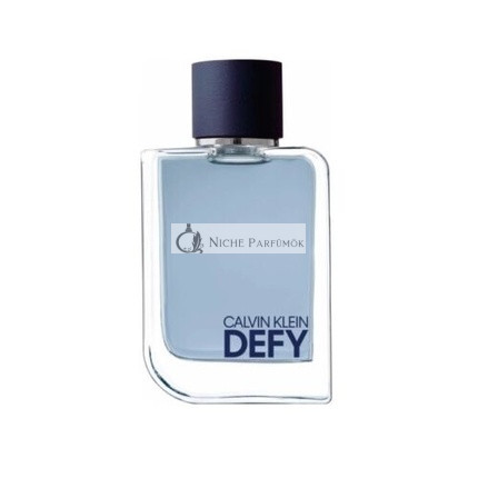 Calvin Klein Defy toaletná voda pre mužov 200 ml