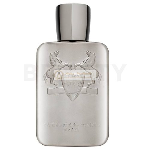Parfums de Marly Pegasus parfémovaná voda pre mužov 125 ml