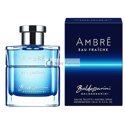Baldessarini Ambré Eau Fraiche toaletná voda pre mužov 90 ml