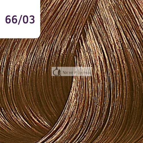 Wella Professionals Color Touch Plus profesionálna demi-permanentná farba na vlasy 66/03 60 ml