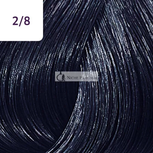 Wella Professionals Color Touch Rich Naturals profesionálna demi-permanentná farba na vlasy s multi-rozmernym efektom 2/8 60 ml