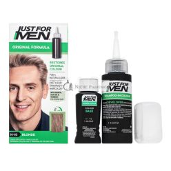   Just For Men Shampoo-in Haircolour farebný šampon pre mužov H10 Sandy Blond 66 ml