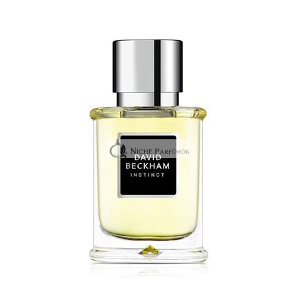 David Beckham Instinct Pánsky Eau De Toilette, 50ml