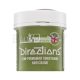La Riché Directions Semi-Permanent Conditioning Hair Colour semi-permanentná farba na vlasy Fluorescent Lime 88 ml