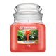 Yankee Candle The Last Paradise vonná sviečka 411 g