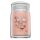 Yankee Candle Pink Sands 567 g