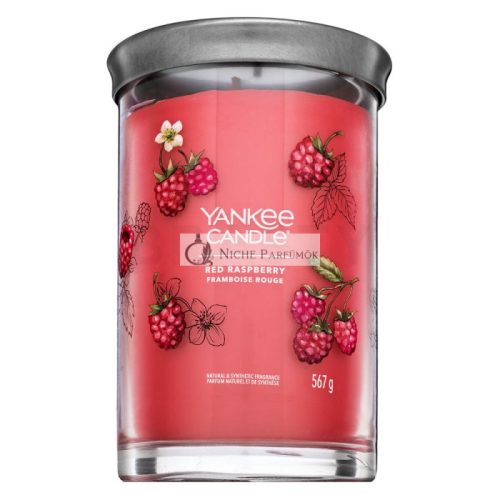 Yankee Candle Tumbler Red Raspberry 567 g