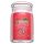 Yankee Candle Art In The Park 567 g