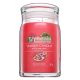 Yankee Candle Art In The Park 567 g