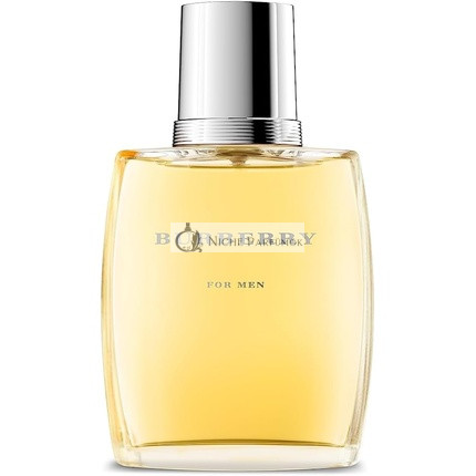 BURBERRY pre mužov Eau de Toilette, 100ml