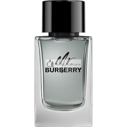 Burberry Eau de Toilette sprej pre mužov, 150ml