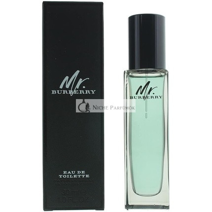 Burberry Mr. Burberry Eau De Toilette pre mužov, 30 ml
