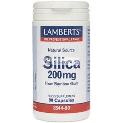 Lamberts Silikón 200mg 90 Kapsúl