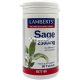 Lamberts Šalvia 2500mg 90 Kapsúl